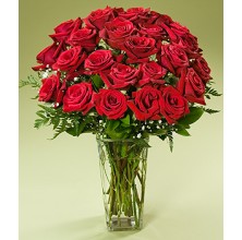 Ruby Roses - 24 Stems Vase