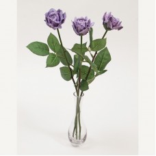 Popping Purple - 3 Stems Vase