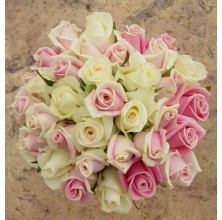 Elegant White and Pink - 36 Stems Bouquet