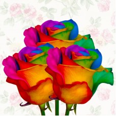 Rainbow Rose 3pc