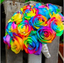 Rainbow Rose 1 Dozen