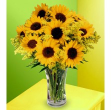 Sunflowers - 12 Stems in Vase
