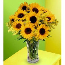 Sunflowers - 12 Stems in Vase 