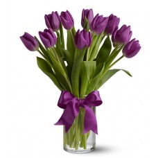Purple Tulips - 12 Stems