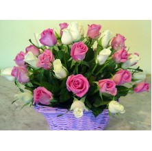 Passionate Affection - 24 Stems Basket