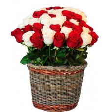 Bright Roses - 24 Stems Basket