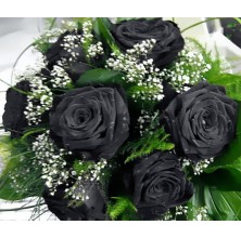 Black Roses - 6 Stems Bouquet