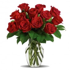 1 Dozen Red Roses - 12 Stem Vase