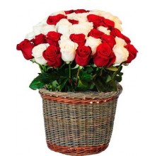 Bright Roses - 24 Stems Basket