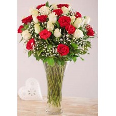 Splendid Roses - 36 Stems Vase