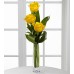 Brighten Up - 3 Stems Vase