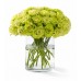 The Color of Your Day - 48 Stems In Vase