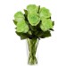 Blooming Green - 6 Stems Vase