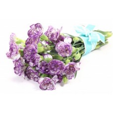Purple Carnations - 10 Stems Bouquet