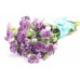 Purple Carnations - 10 Stems Bouquet