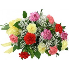 Rainbow Carnation Bouquet - 20 Stems Bouquet