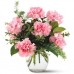 Pinkish Carnations - 6 Stems Vase