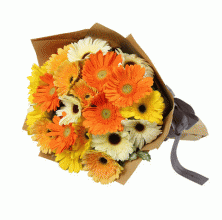 Sunshine Gerbera - 30 Stems Bouquet