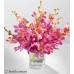 Pink Champagne Orchid - 10 Stems